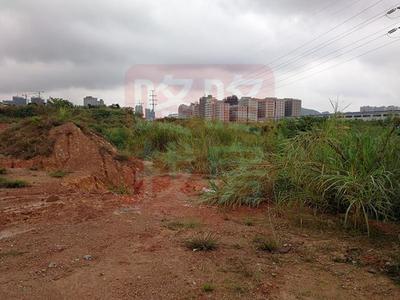 誤操作？大亞灣拍出7.88億天價地塊，樓面價破3萬/㎡引關注